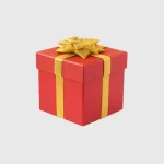 Christmas Present Boxes