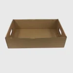 Cardboard Trays - Image 2